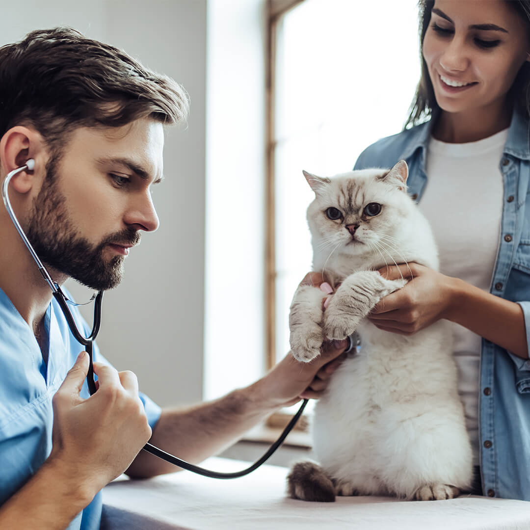 A Comprehensive Guide to Pet Health and Well-being